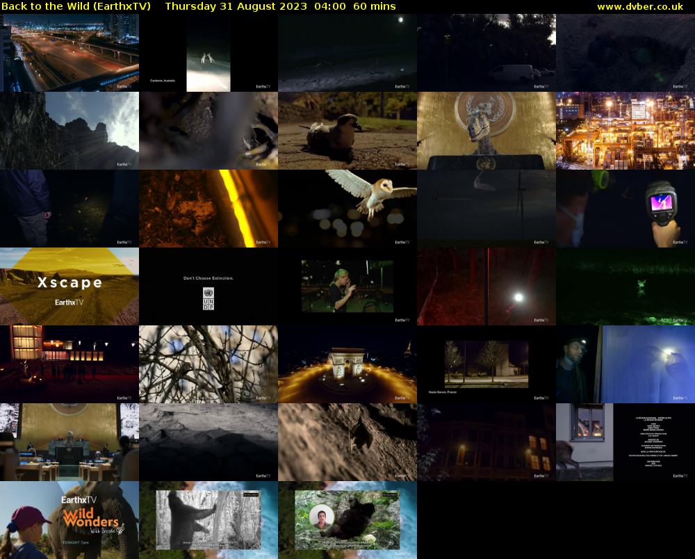 Back to the Wild (EarthxTV) Thursday 31 August 2023 04:00 - 05:00