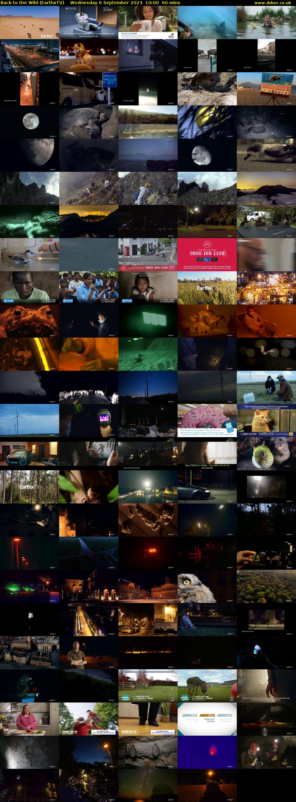 Back to the Wild (EarthxTV) Wednesday 6 September 2023 10:00 - 11:00