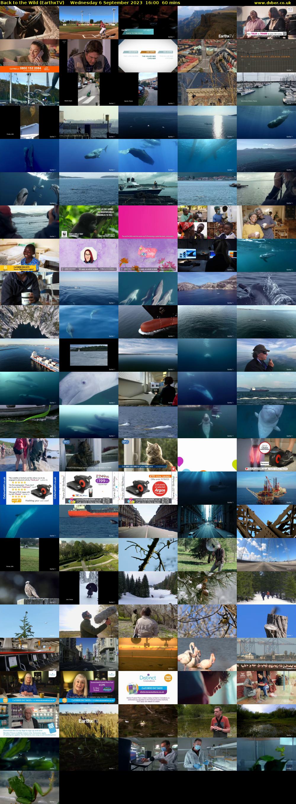 Back to the Wild (EarthxTV) Wednesday 6 September 2023 16:00 - 17:00