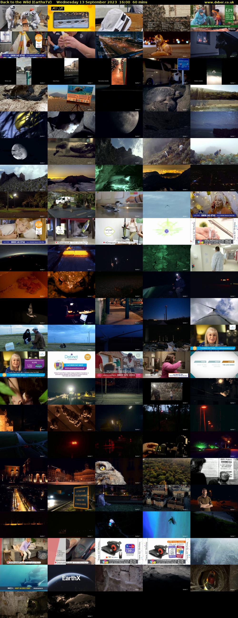 Back to the Wild (EarthxTV) Wednesday 13 September 2023 16:00 - 17:00