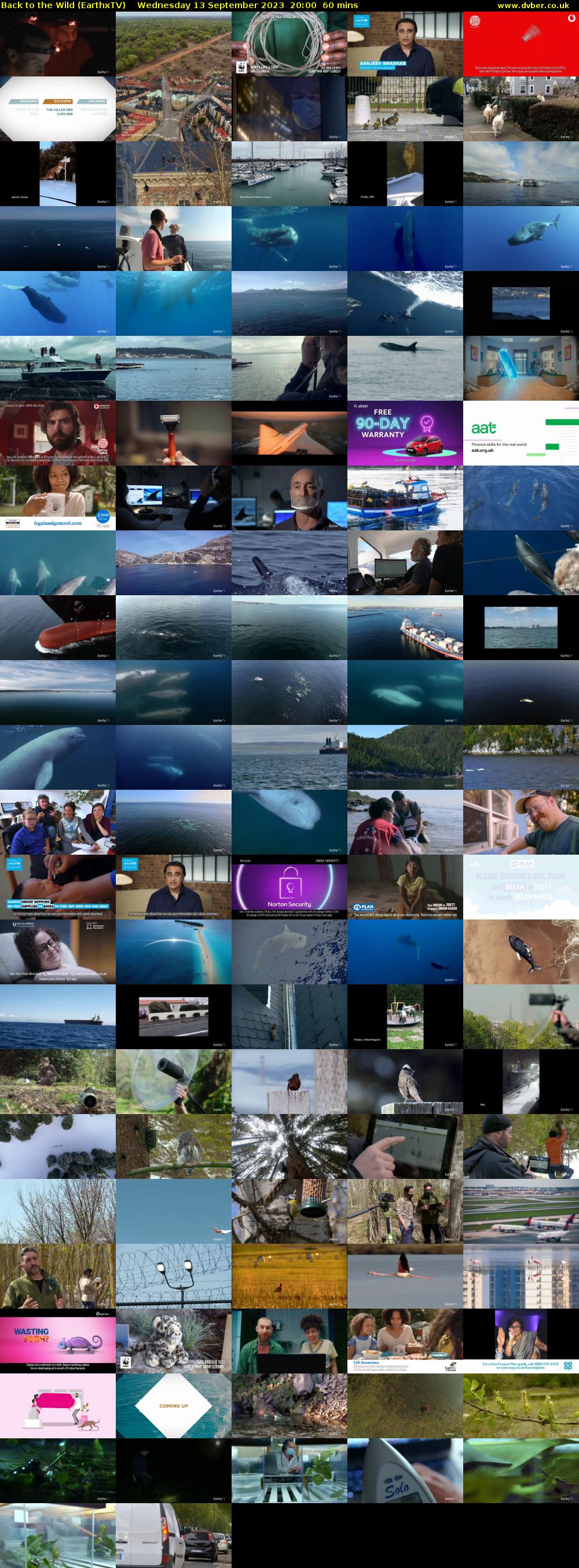 Back to the Wild (EarthxTV) Wednesday 13 September 2023 20:00 - 21:00