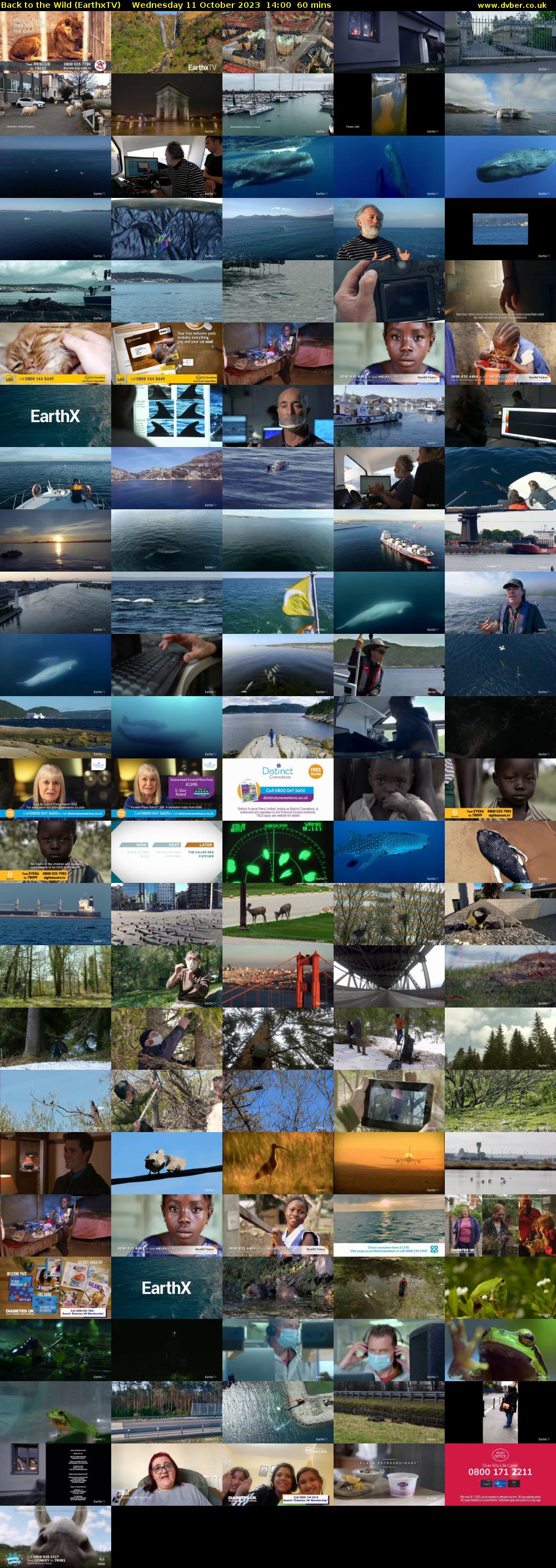 Back to the Wild (EarthxTV) Wednesday 11 October 2023 14:00 - 15:00