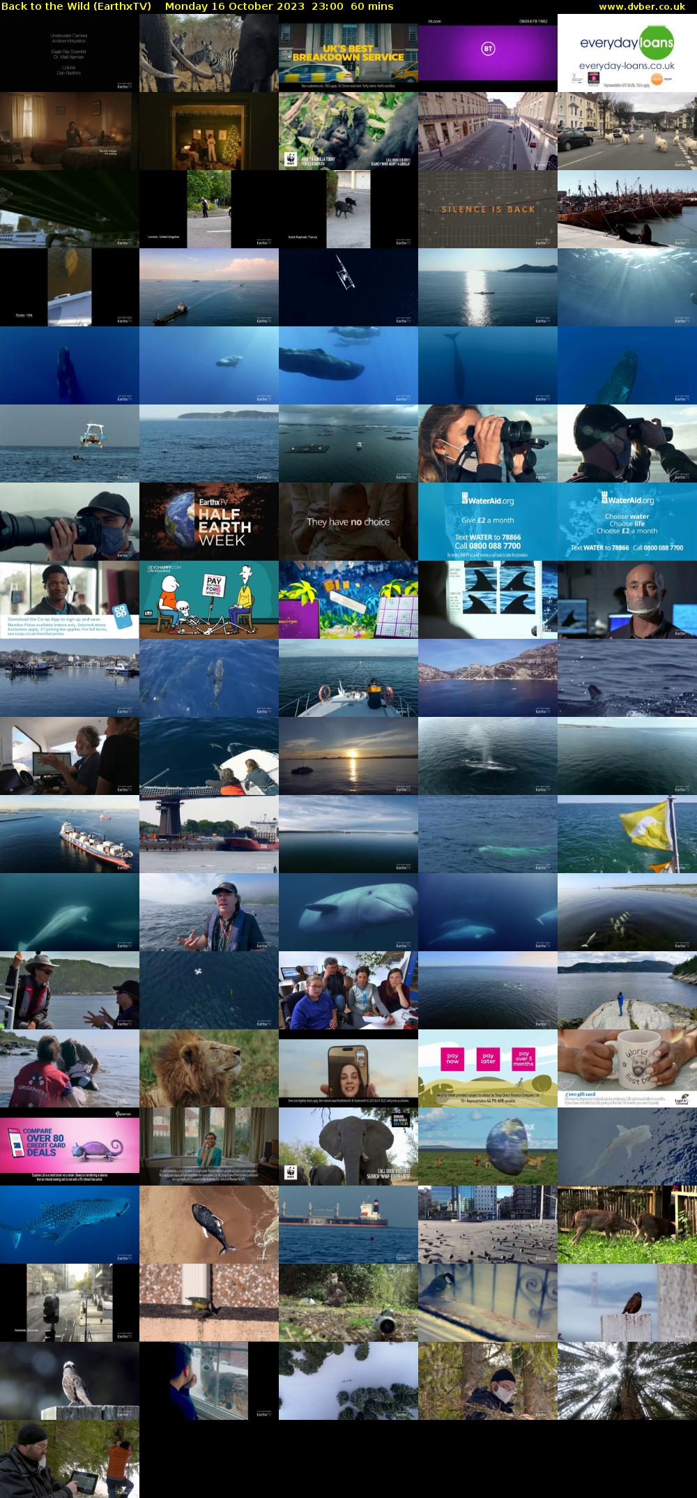 Back to the Wild (EarthxTV) Monday 16 October 2023 23:00 - 00:00