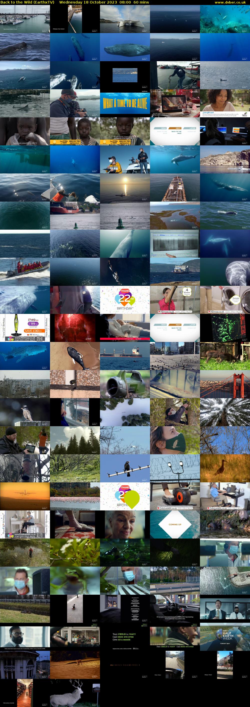 Back to the Wild (EarthxTV) Wednesday 18 October 2023 08:00 - 09:00