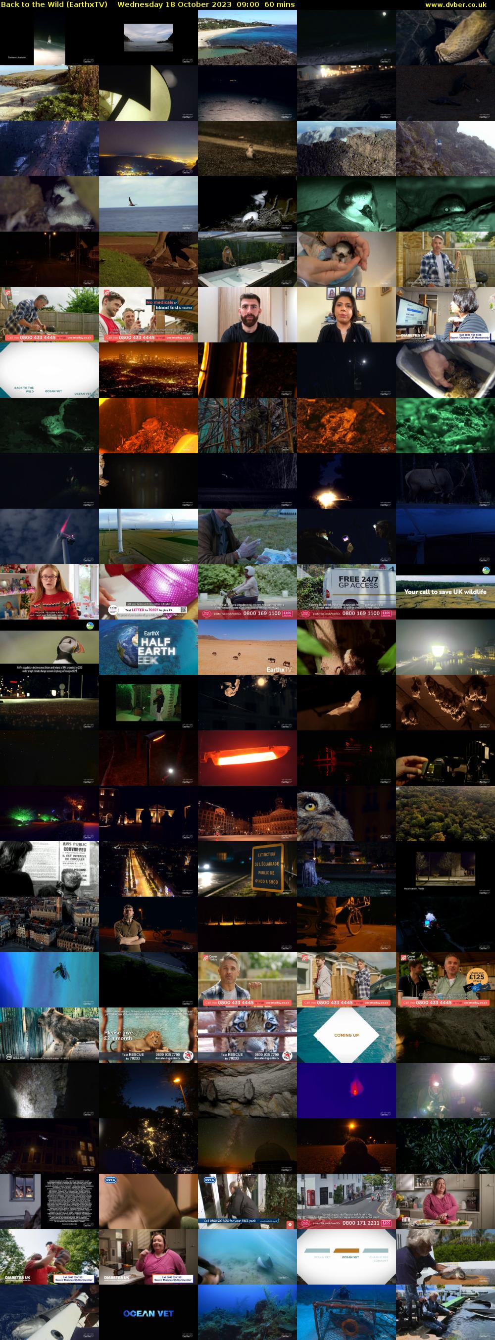Back to the Wild (EarthxTV) Wednesday 18 October 2023 09:00 - 10:00