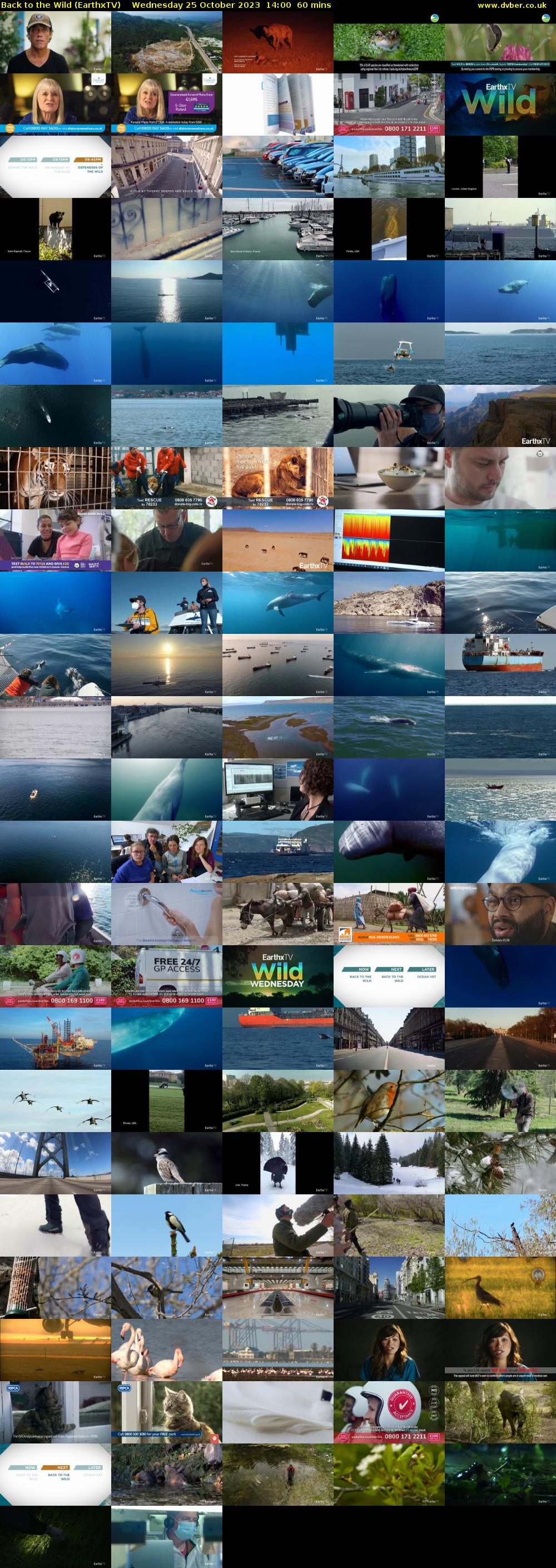 Back to the Wild (EarthxTV) Wednesday 25 October 2023 14:00 - 15:00