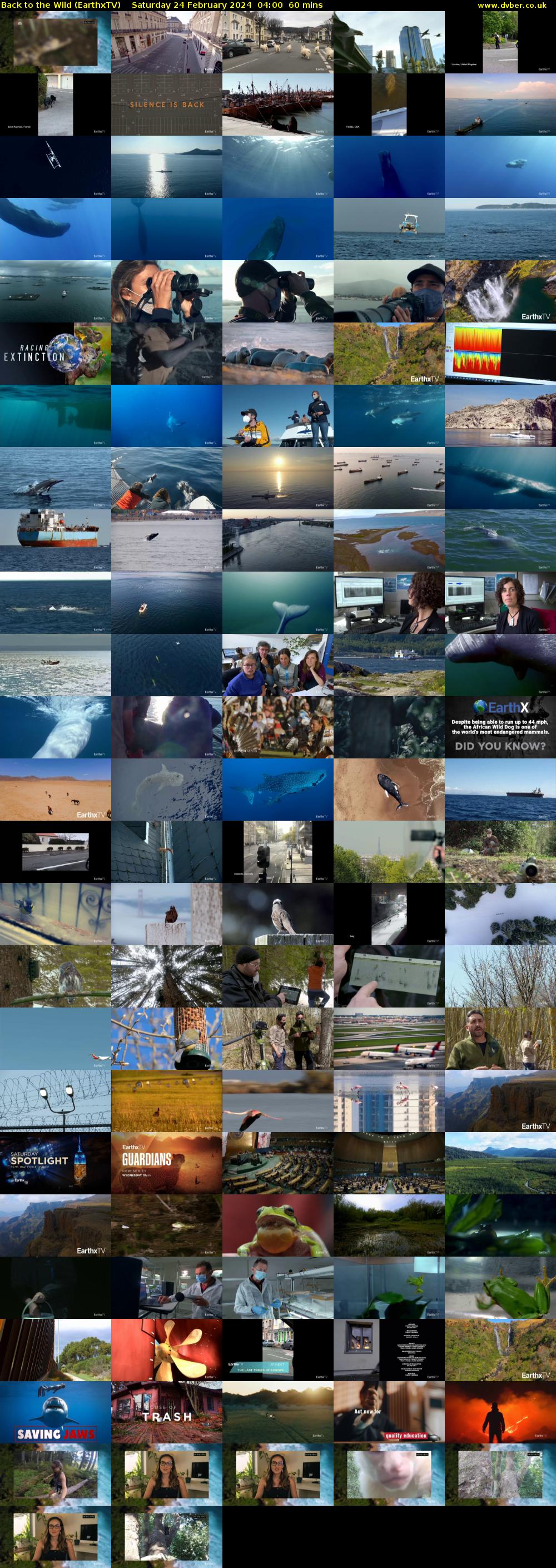 Back to the Wild (EarthxTV) Saturday 24 February 2024 04:00 - 05:00