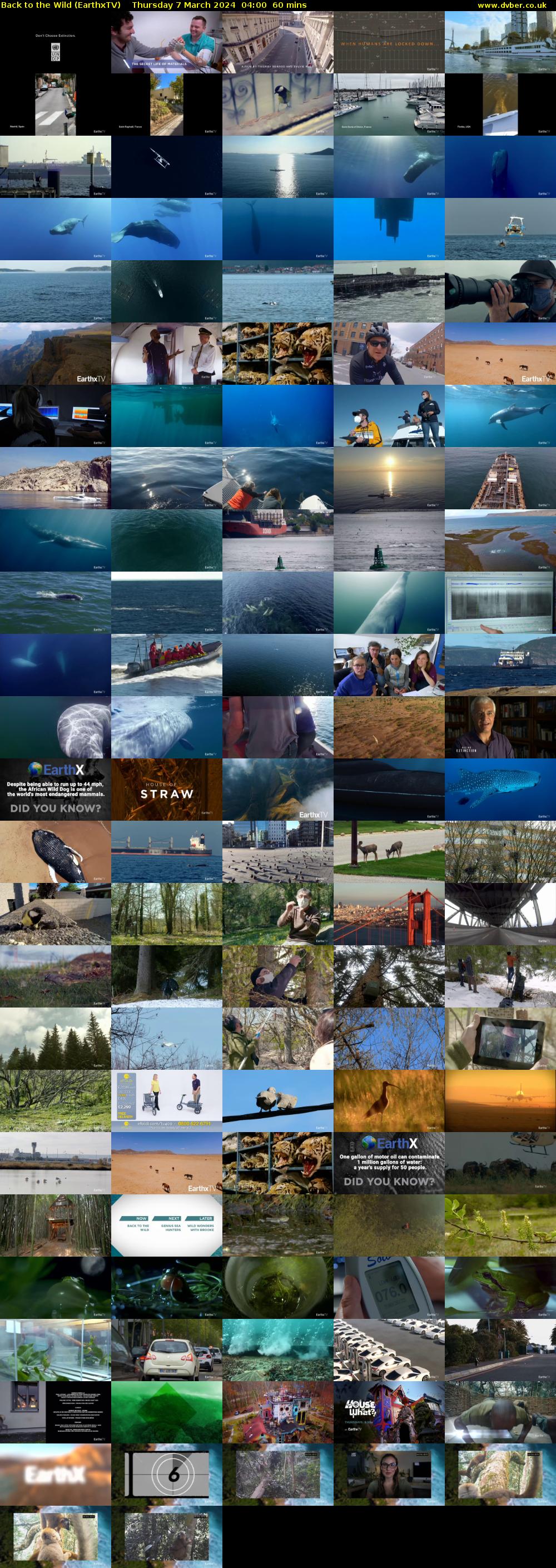 Back to the Wild (EarthxTV) Thursday 7 March 2024 04:00 - 05:00