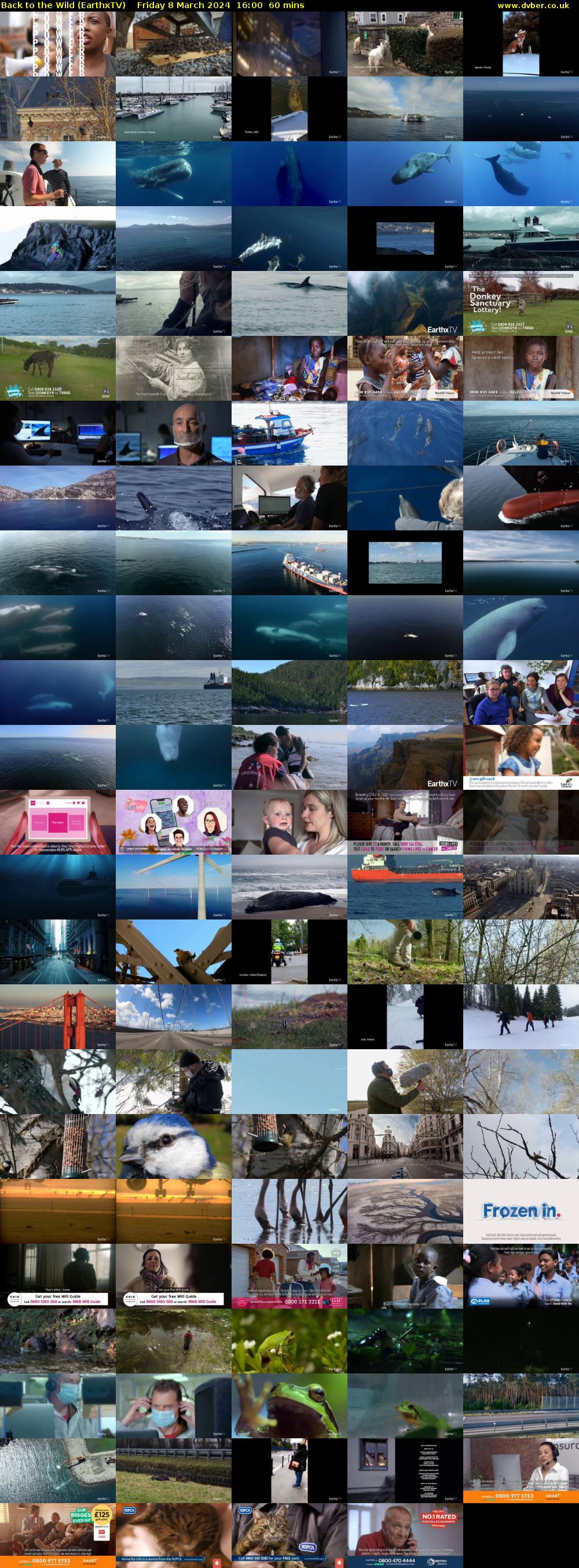 Back to the Wild (EarthxTV) Friday 8 March 2024 16:00 - 17:00