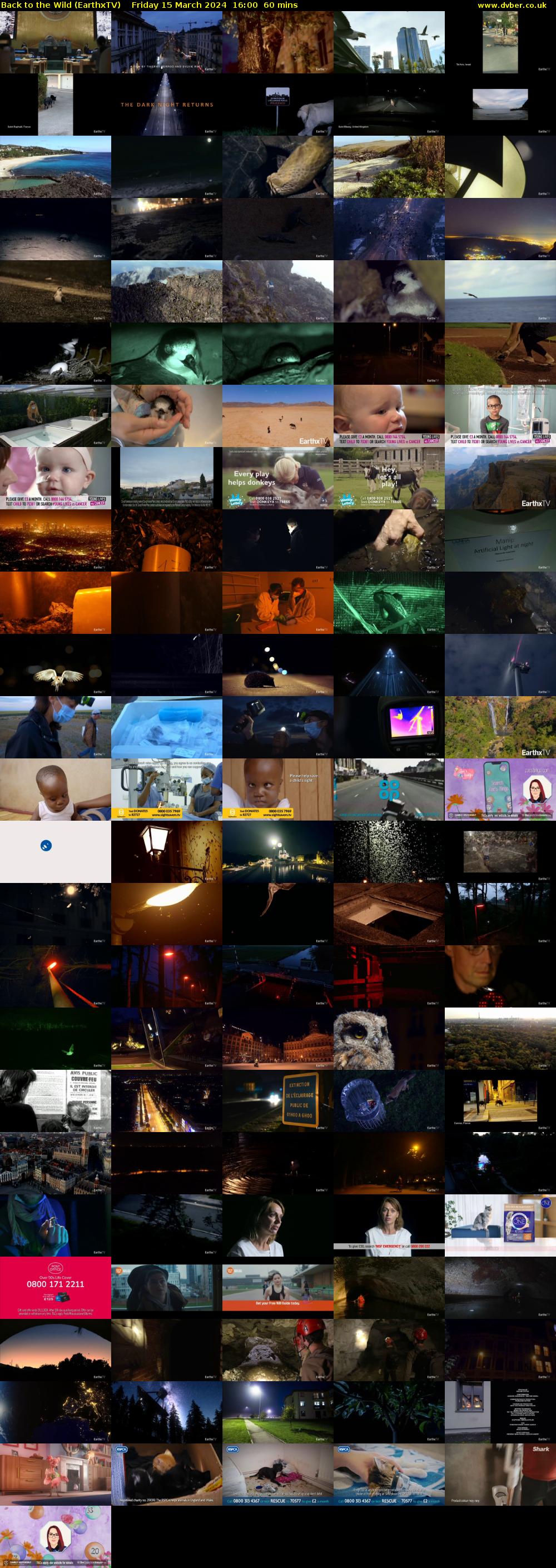 Back to the Wild (EarthxTV) Friday 15 March 2024 16:00 - 17:00