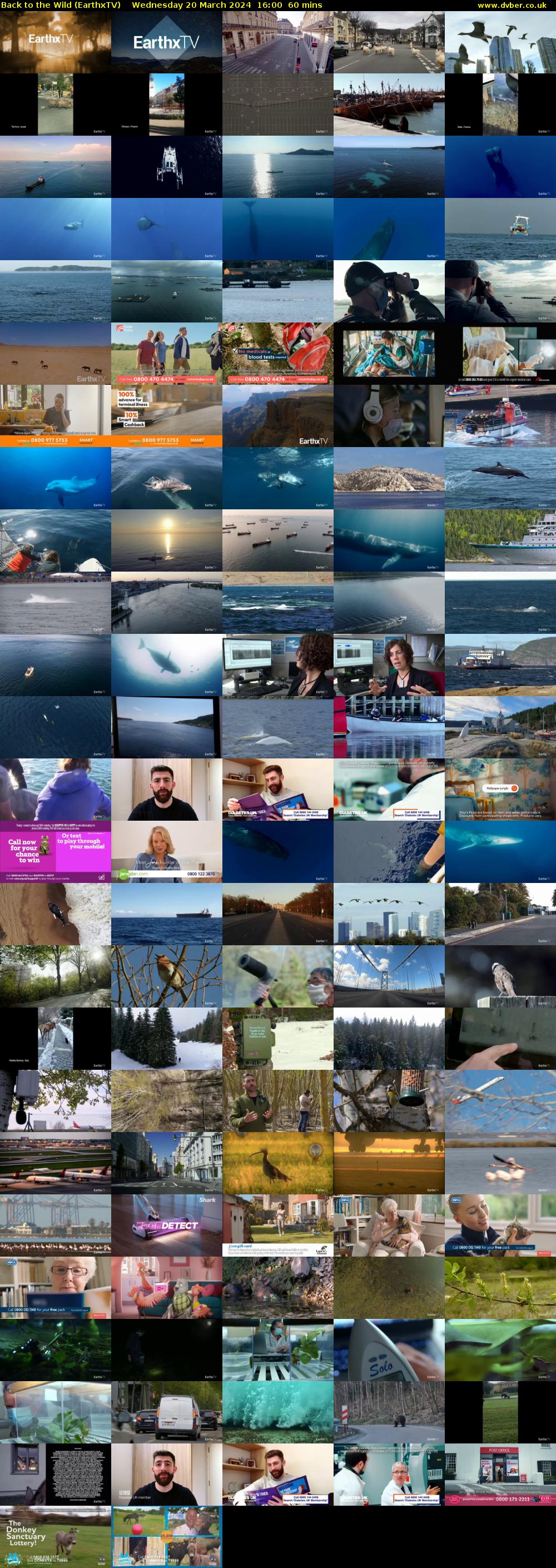 Back to the Wild (EarthxTV) Wednesday 20 March 2024 16:00 - 17:00
