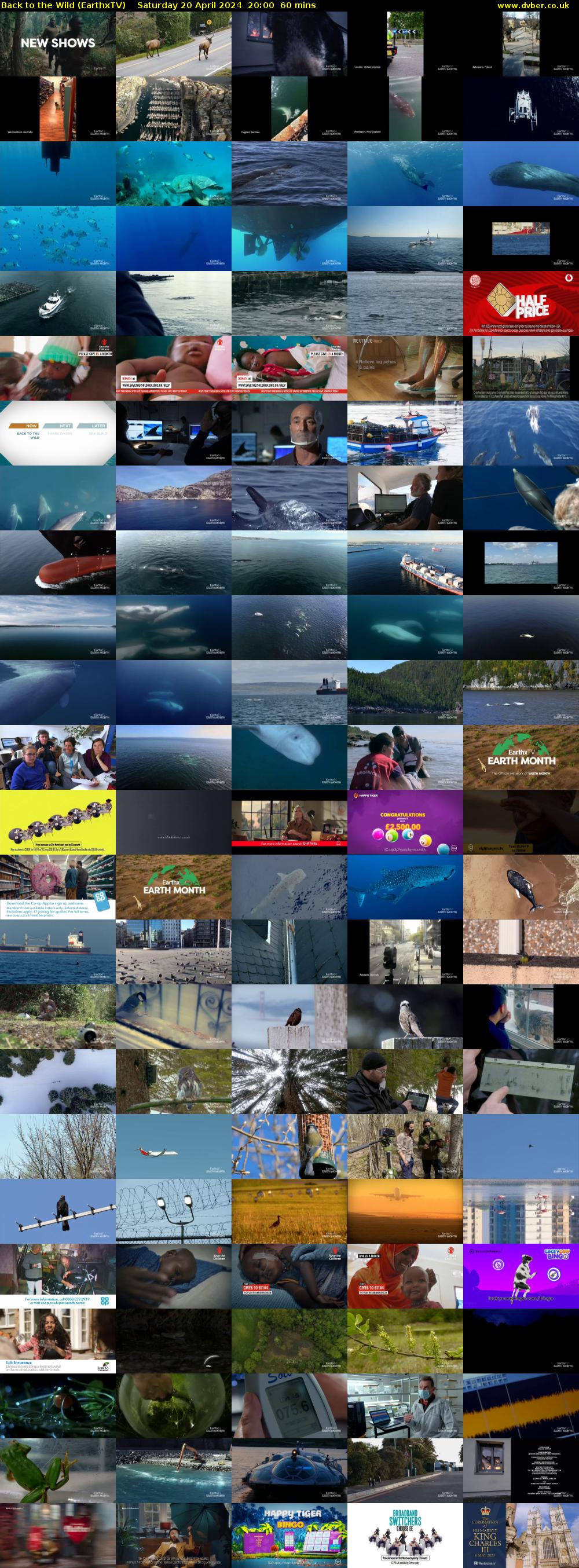 Back to the Wild (EarthxTV) Saturday 20 April 2024 20:00 - 21:00