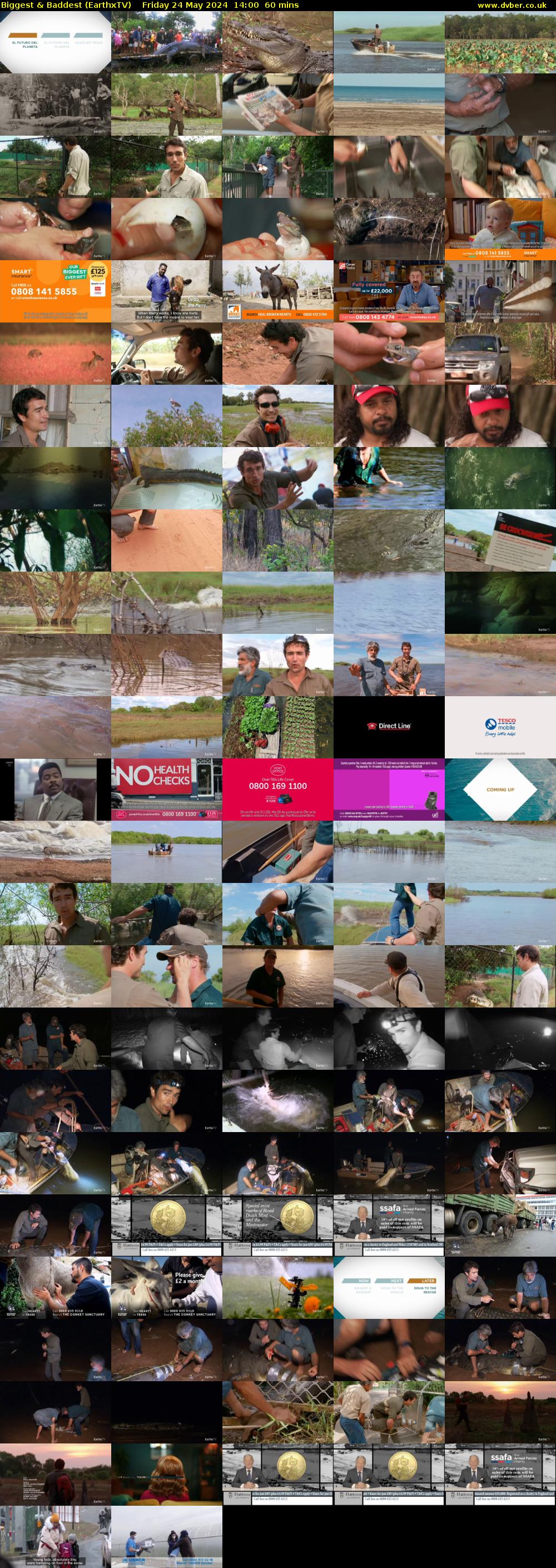 Biggest & Baddest (EarthxTV) Friday 24 May 2024 14:00 - 15:00
