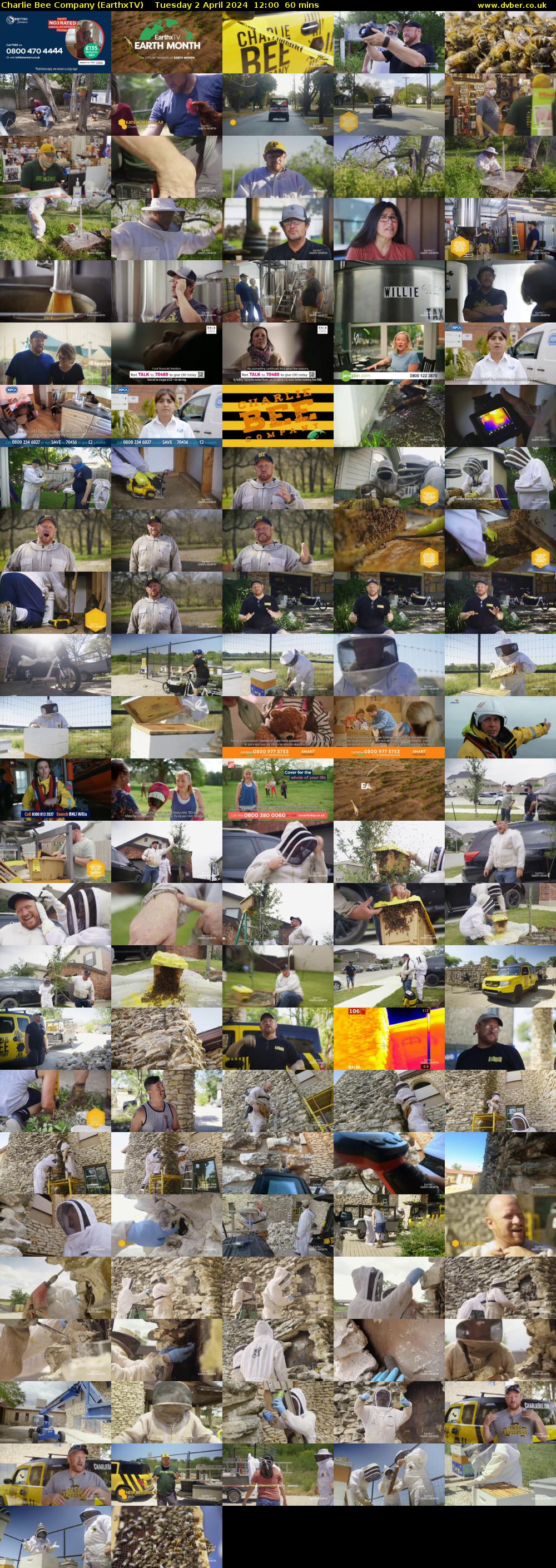 Charlie Bee Company (EarthxTV) Tuesday 2 April 2024 12:00 - 13:00