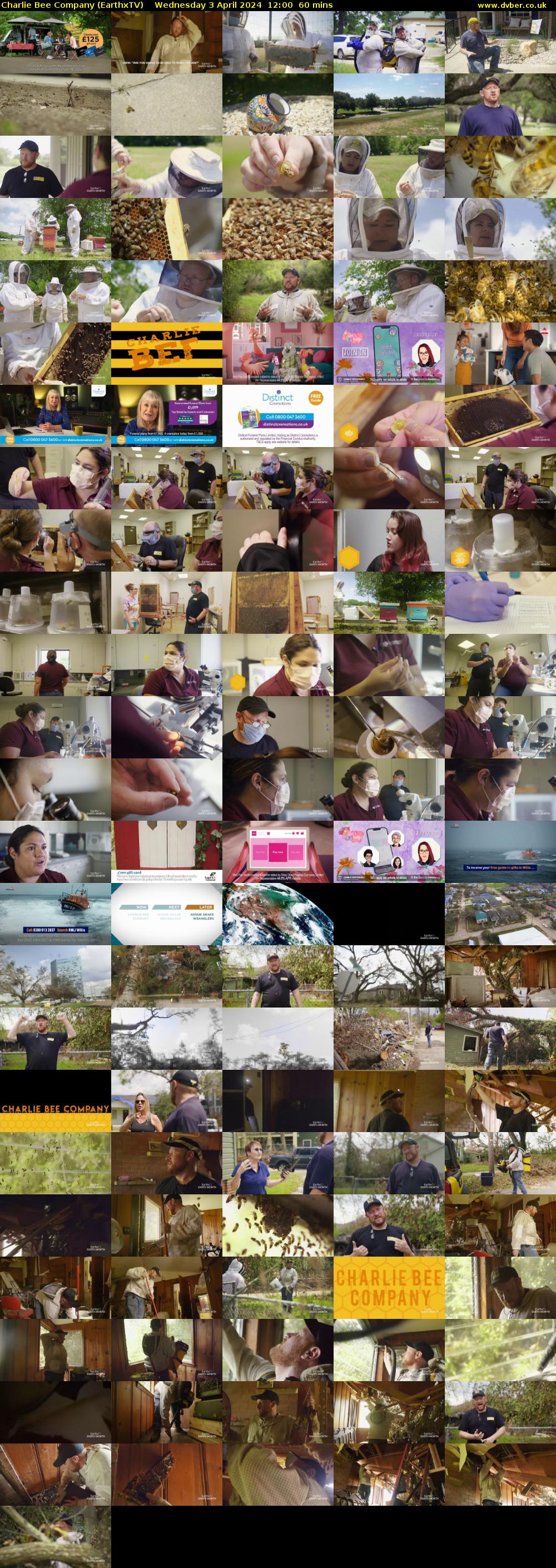 Charlie Bee Company (EarthxTV) Wednesday 3 April 2024 12:00 - 13:00