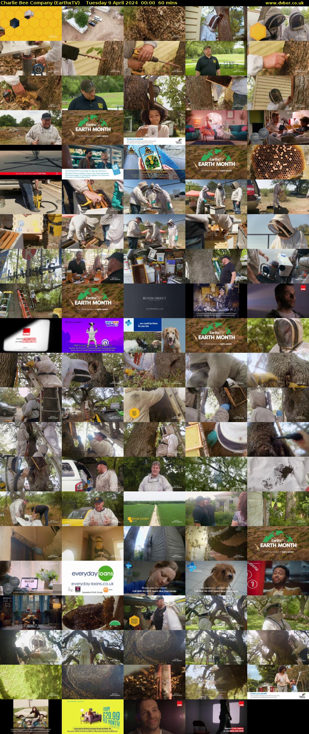 Charlie Bee Company (EarthxTV) Tuesday 9 April 2024 00:00 - 01:00