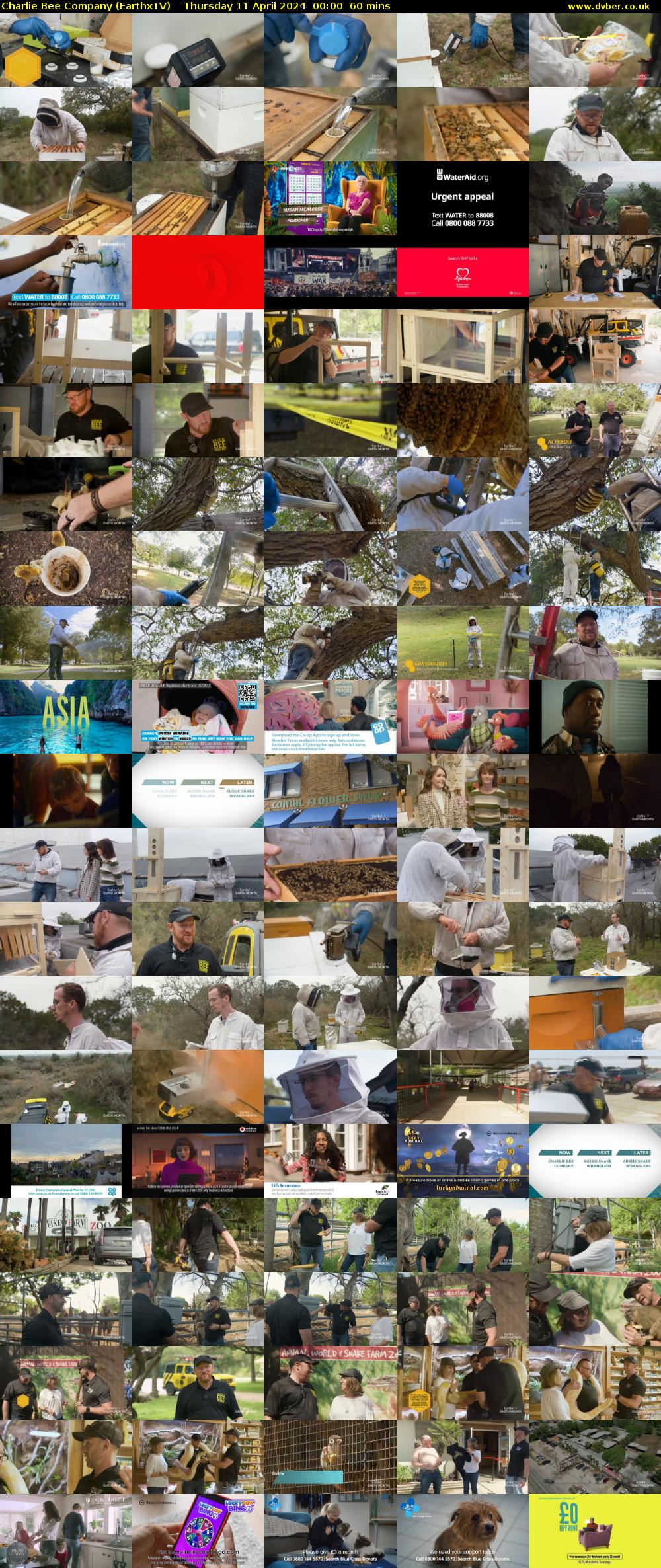 Charlie Bee Company (EarthxTV) Thursday 11 April 2024 00:00 - 01:00