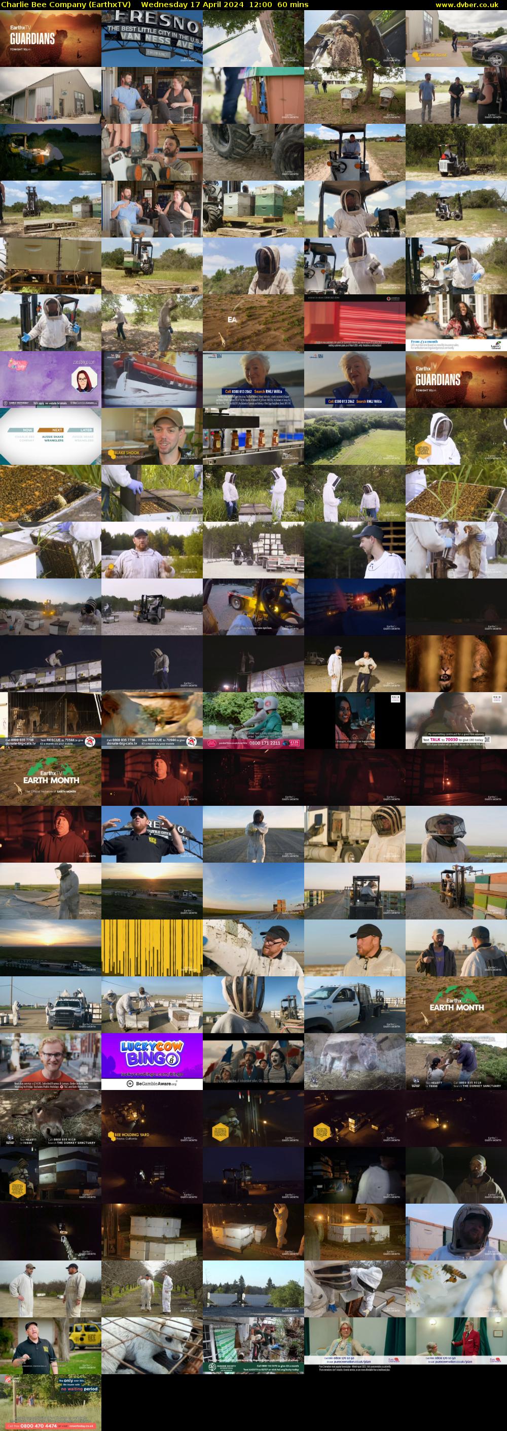 Charlie Bee Company (EarthxTV) Wednesday 17 April 2024 12:00 - 13:00