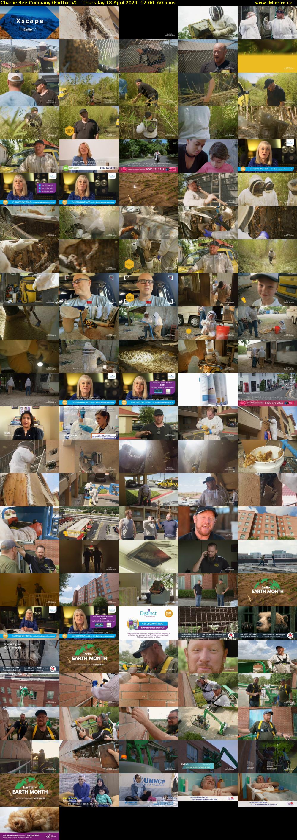 Charlie Bee Company (EarthxTV) Thursday 18 April 2024 12:00 - 13:00
