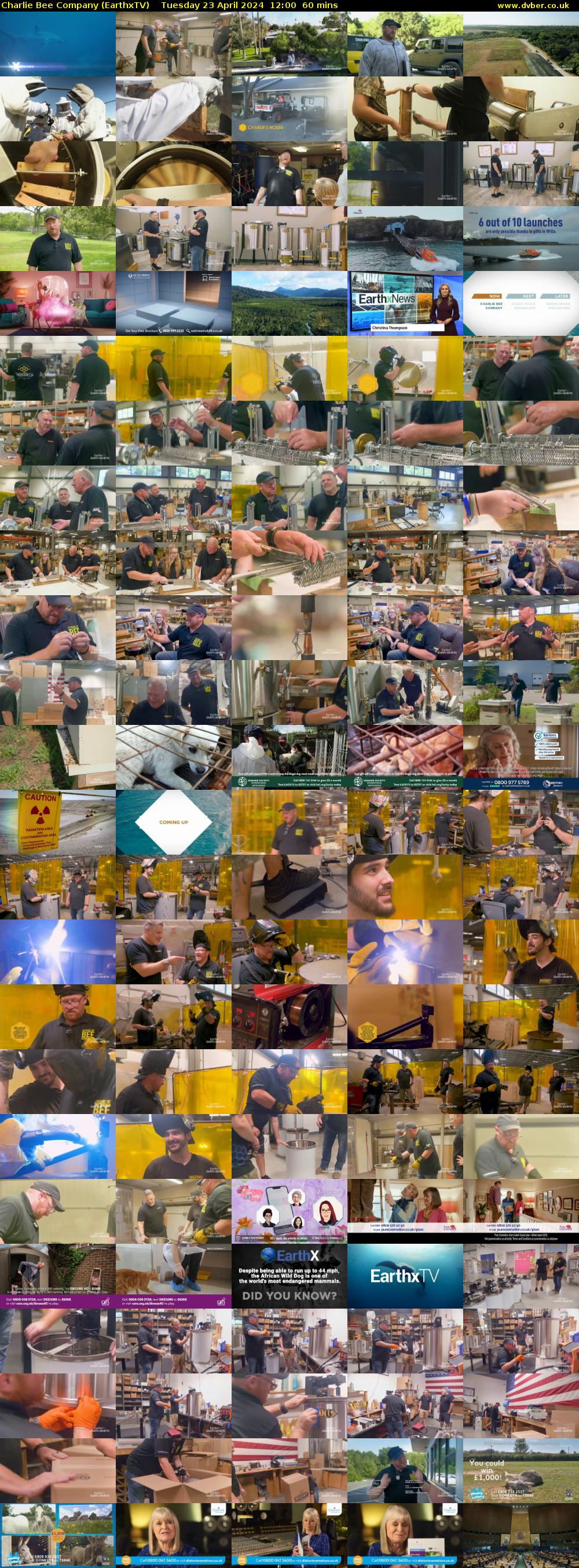 Charlie Bee Company (EarthxTV) Tuesday 23 April 2024 12:00 - 13:00
