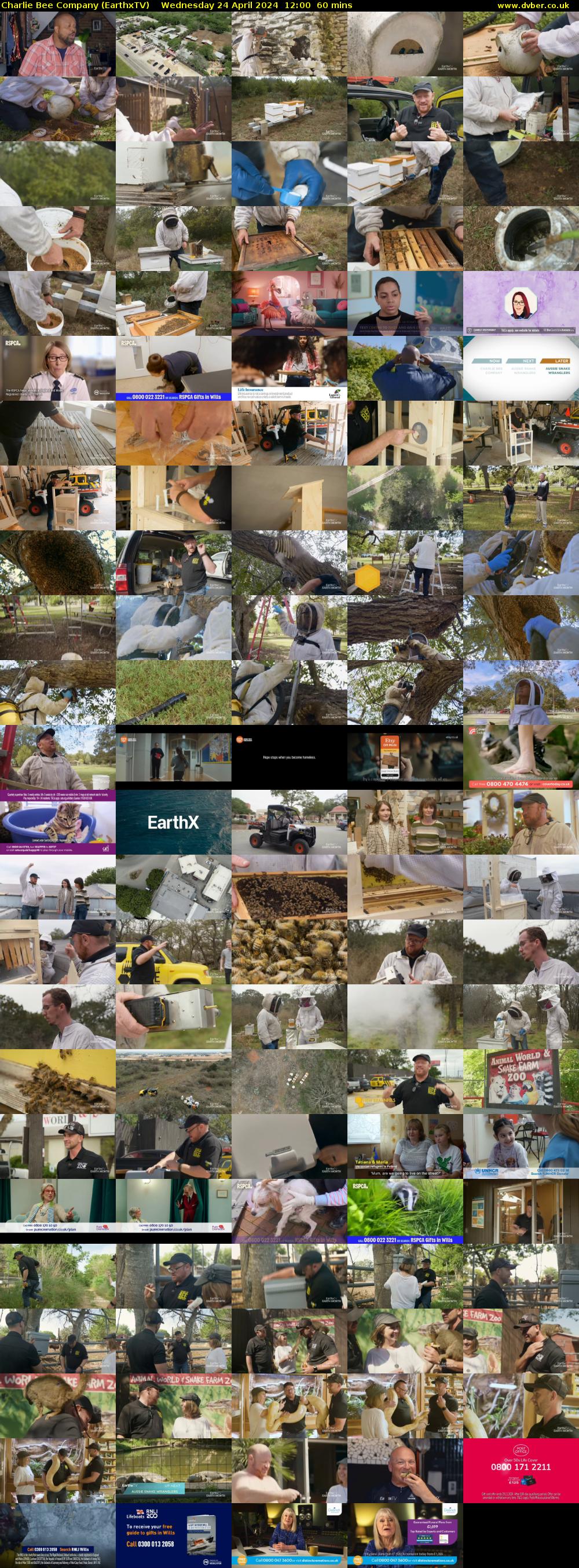 Charlie Bee Company (EarthxTV) Wednesday 24 April 2024 12:00 - 13:00