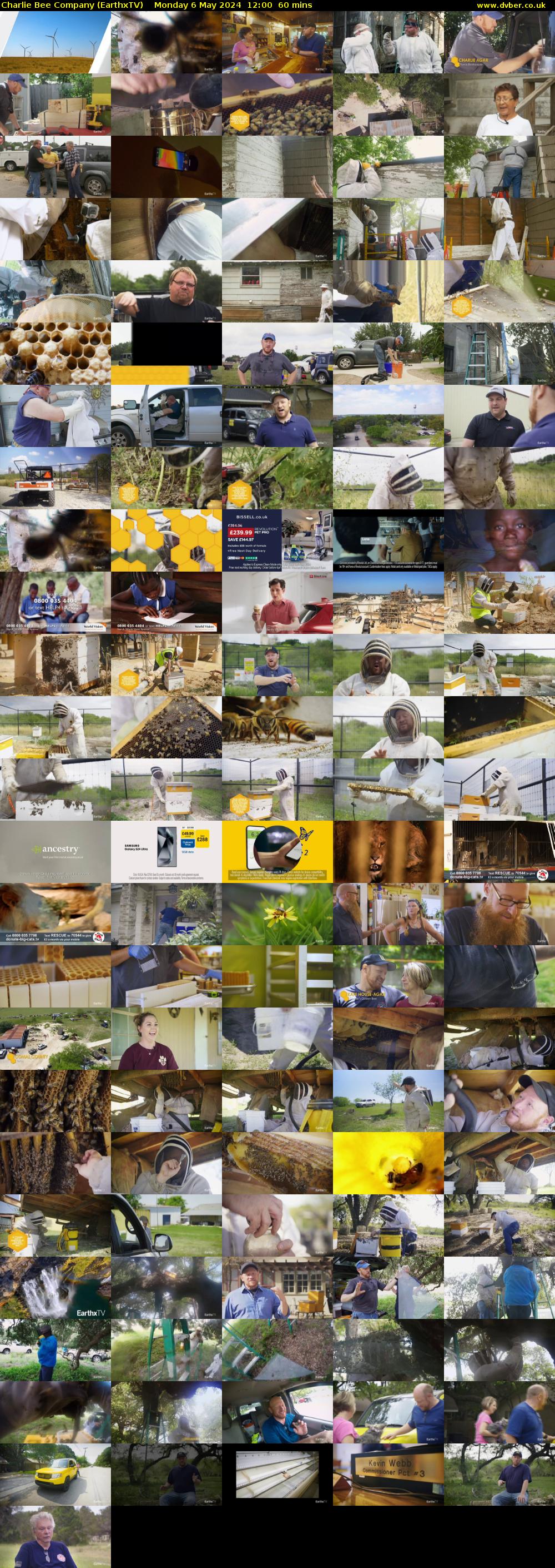 Charlie Bee Company (EarthxTV) Monday 6 May 2024 12:00 - 13:00