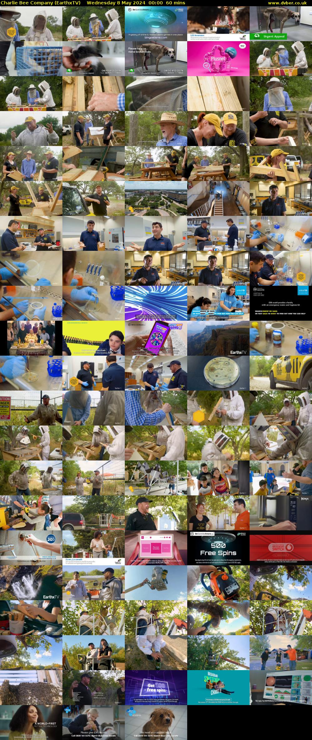 Charlie Bee Company (EarthxTV) Wednesday 8 May 2024 00:00 - 01:00