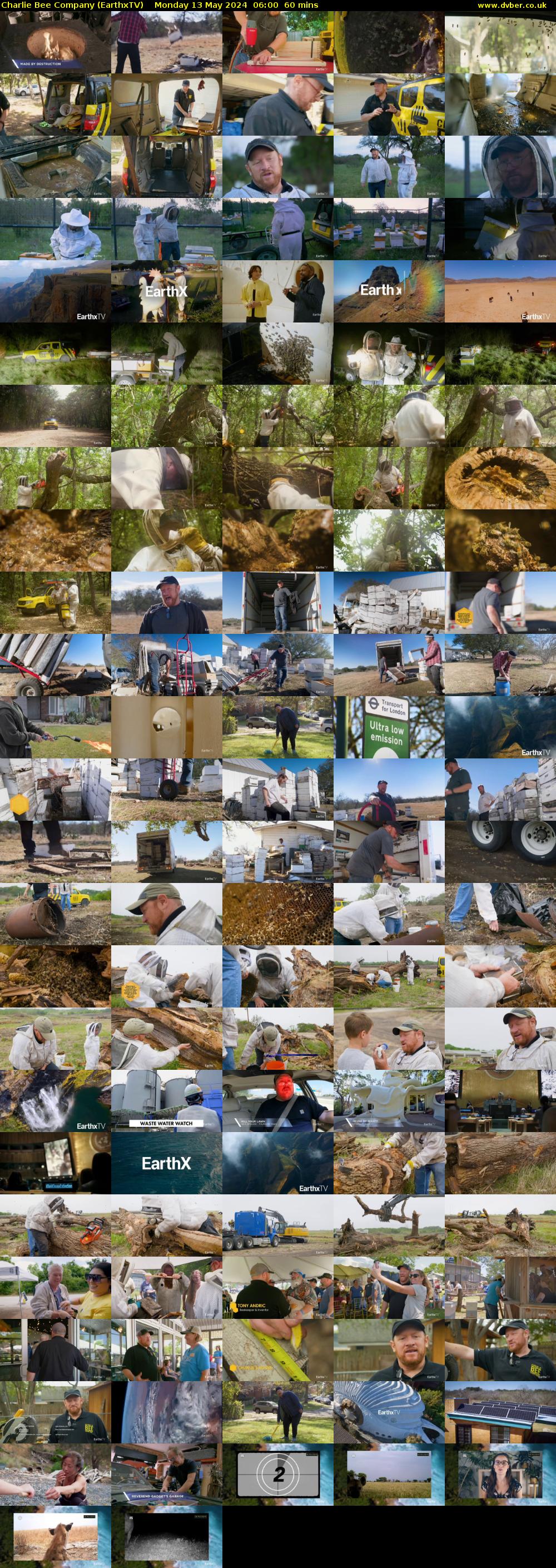 Charlie Bee Company (EarthxTV) Monday 13 May 2024 06:00 - 07:00
