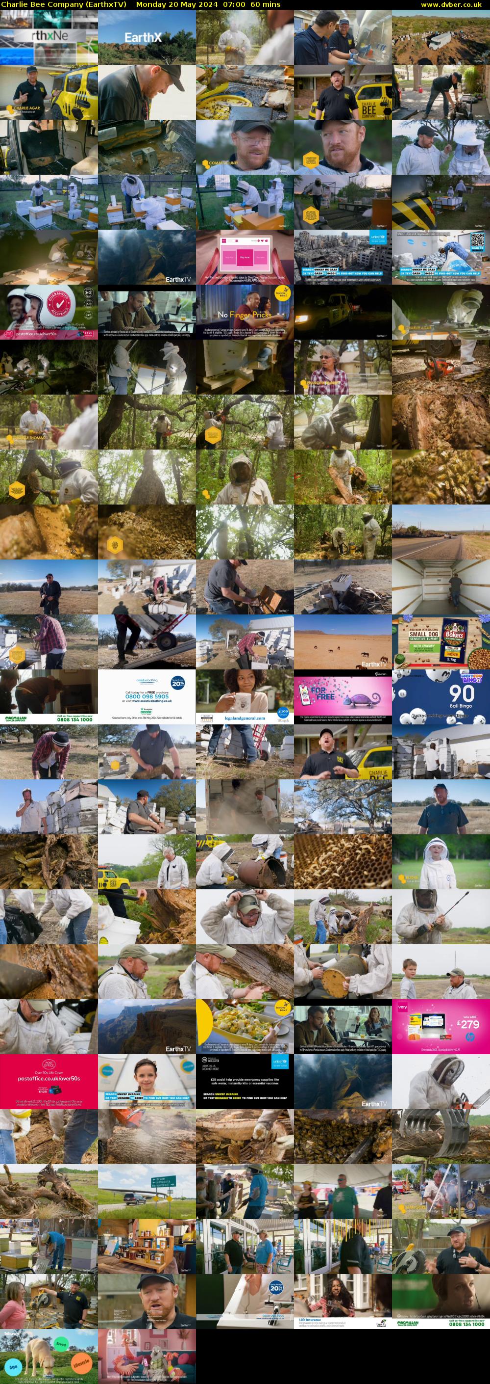 Charlie Bee Company (EarthxTV) Monday 20 May 2024 07:00 - 08:00