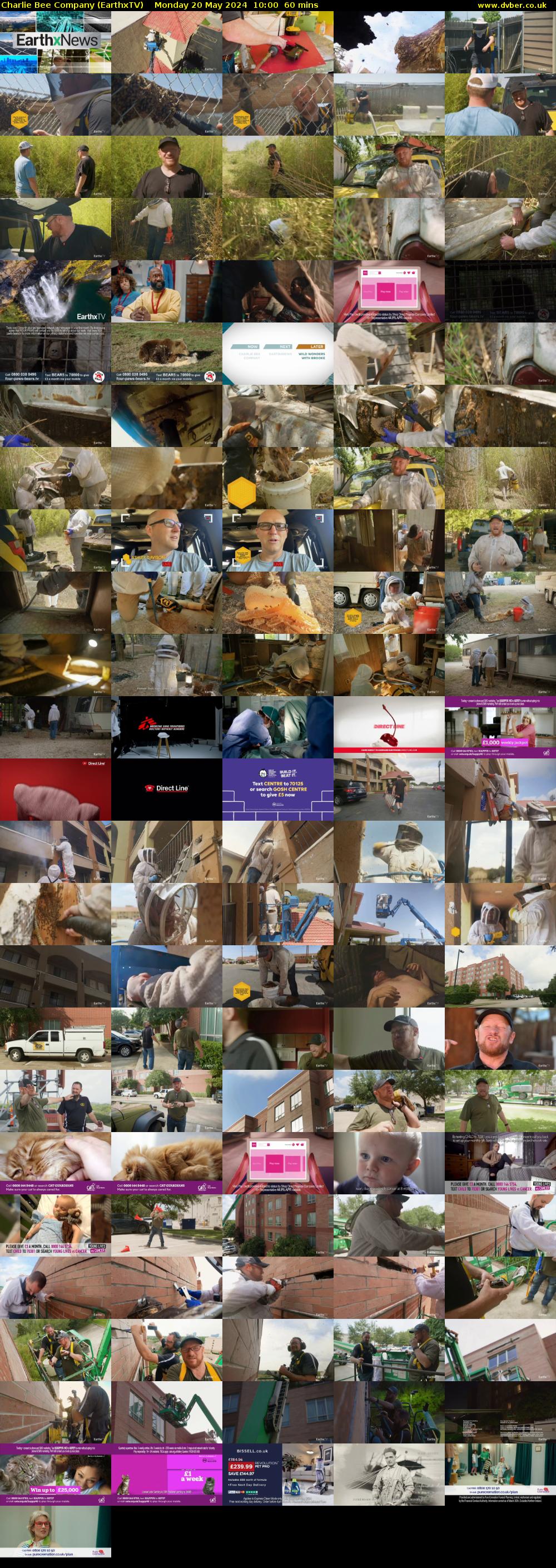 Charlie Bee Company (EarthxTV) Monday 20 May 2024 10:00 - 11:00