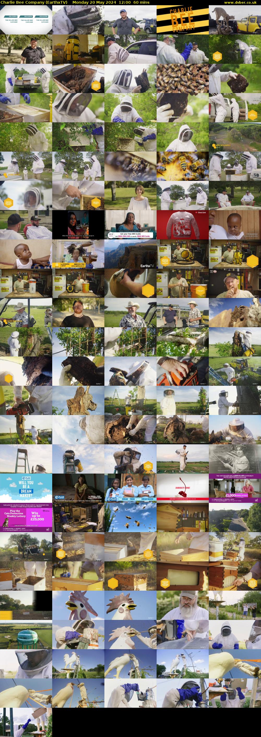 Charlie Bee Company (EarthxTV) Monday 20 May 2024 12:00 - 13:00