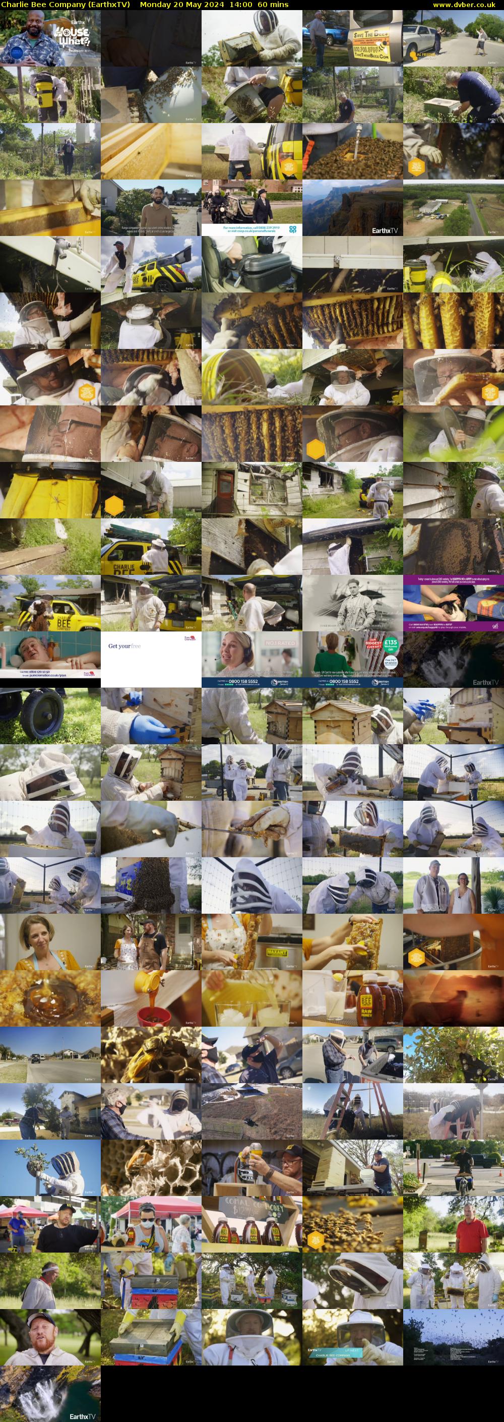Charlie Bee Company (EarthxTV) Monday 20 May 2024 14:00 - 15:00
