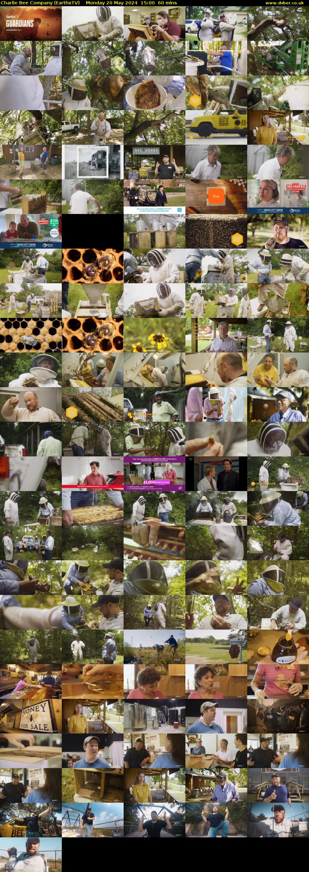 Charlie Bee Company (EarthxTV) Monday 20 May 2024 15:00 - 16:00