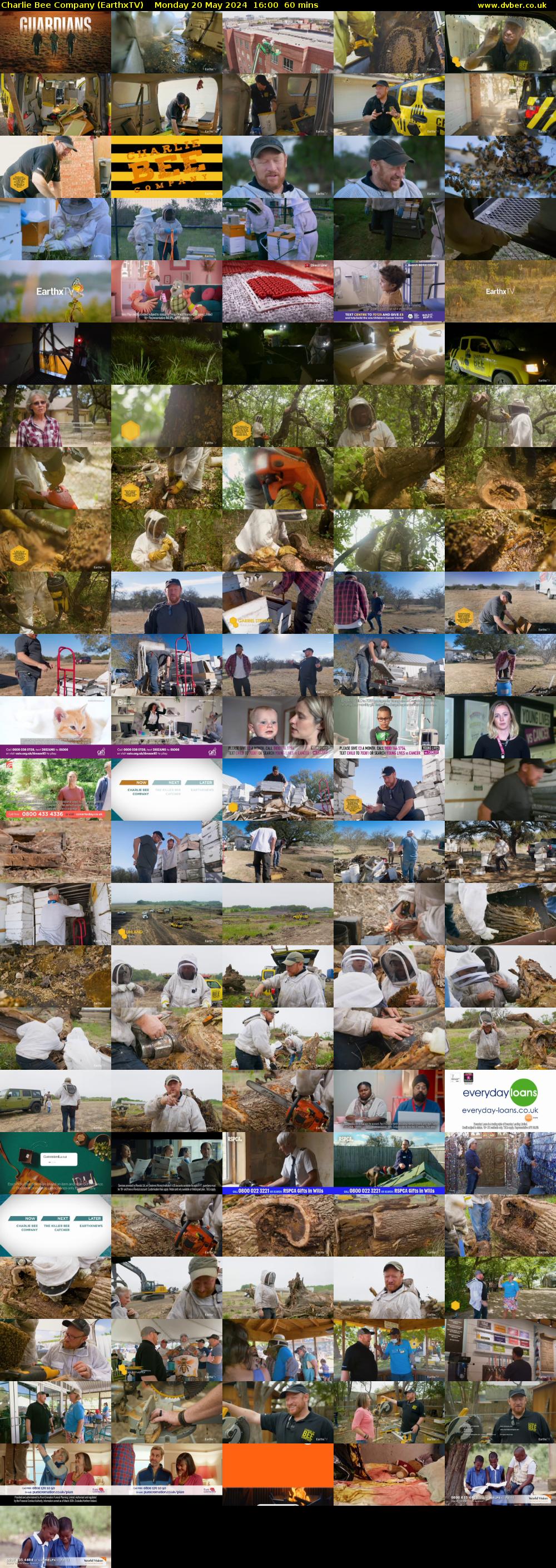 Charlie Bee Company (EarthxTV) Monday 20 May 2024 16:00 - 17:00