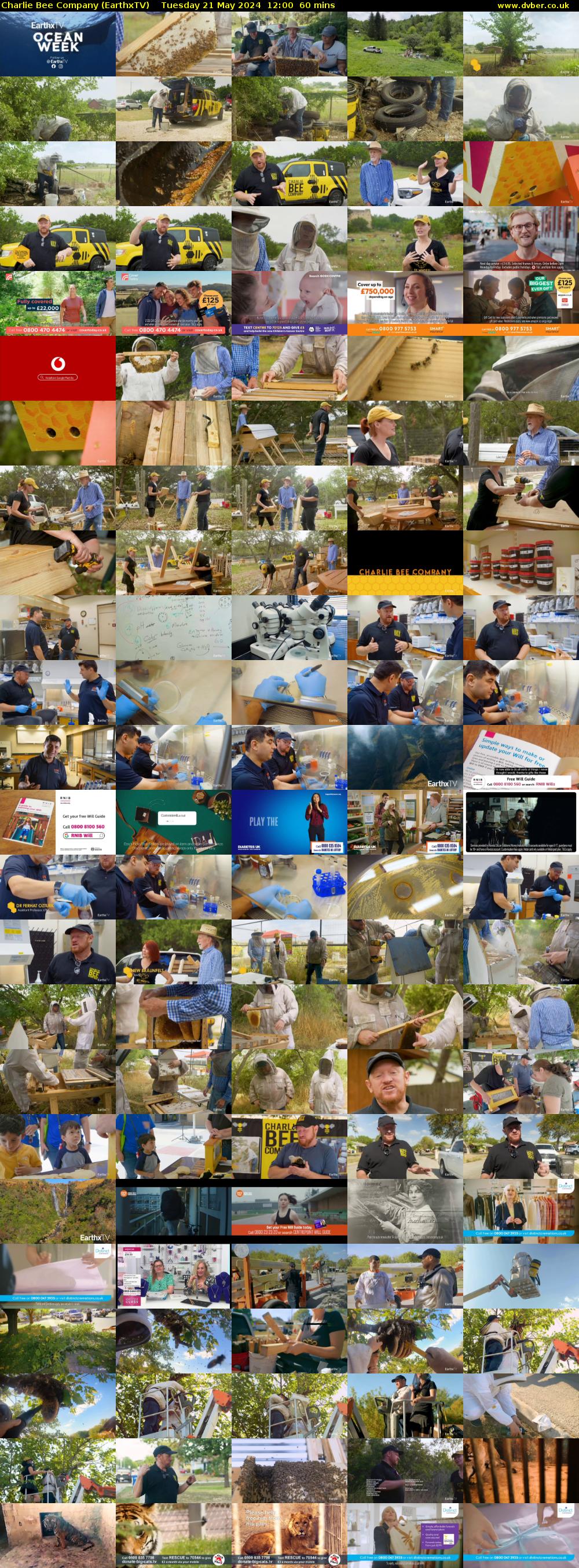 Charlie Bee Company (EarthxTV) Tuesday 21 May 2024 12:00 - 13:00