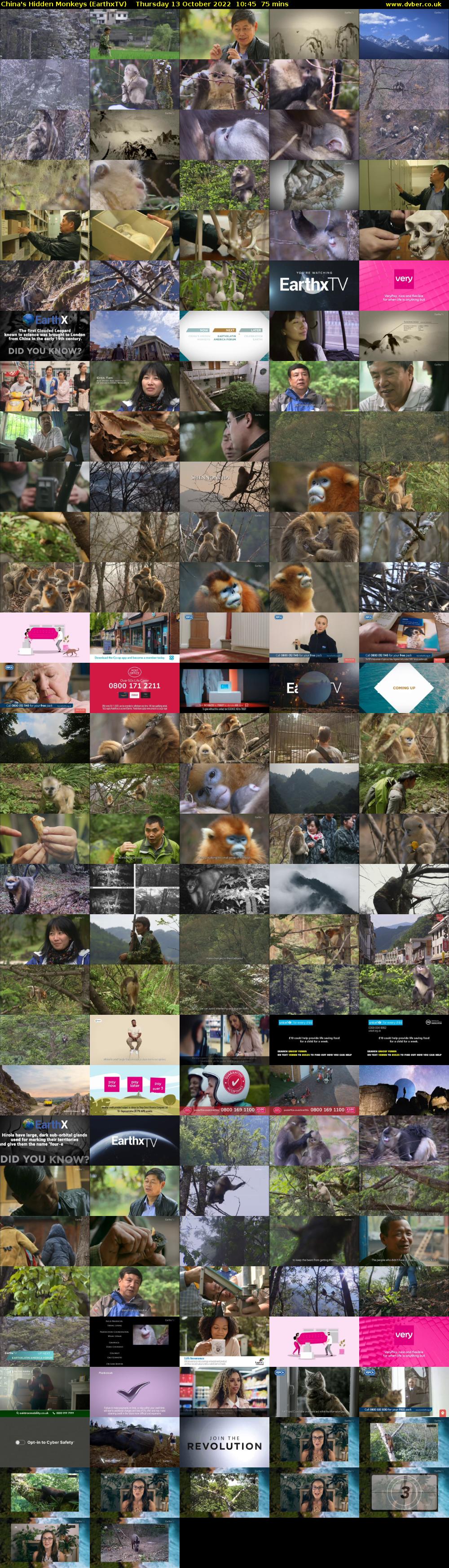 China's Hidden Monkeys (EarthxTV) Thursday 13 October 2022 10:45 - 12:00