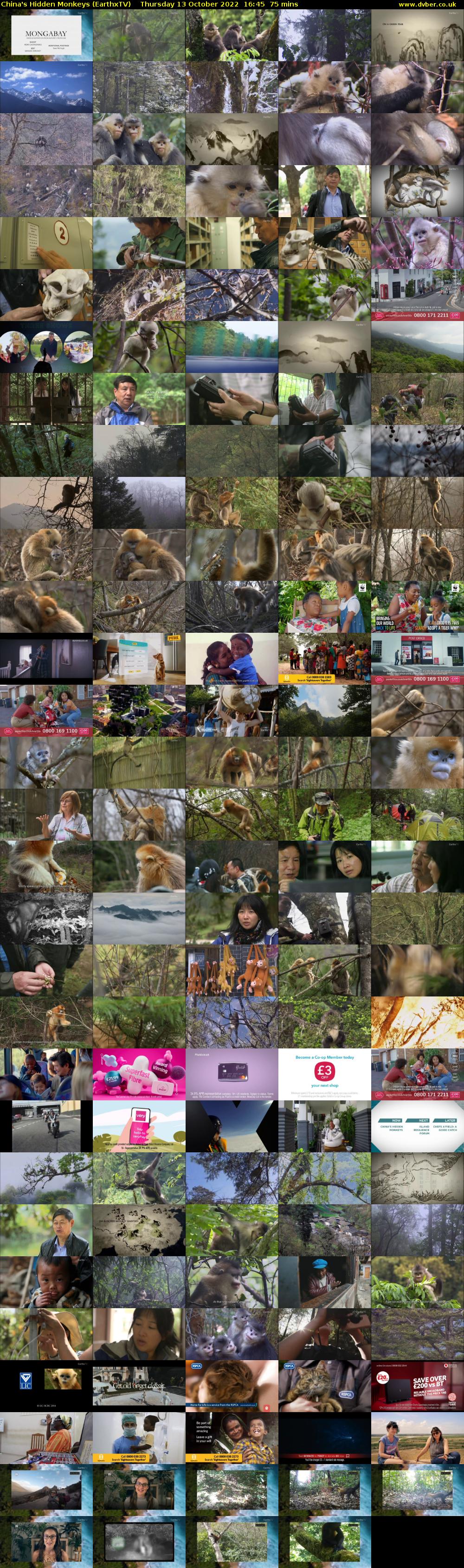 China's Hidden Monkeys (EarthxTV) Thursday 13 October 2022 16:45 - 18:00
