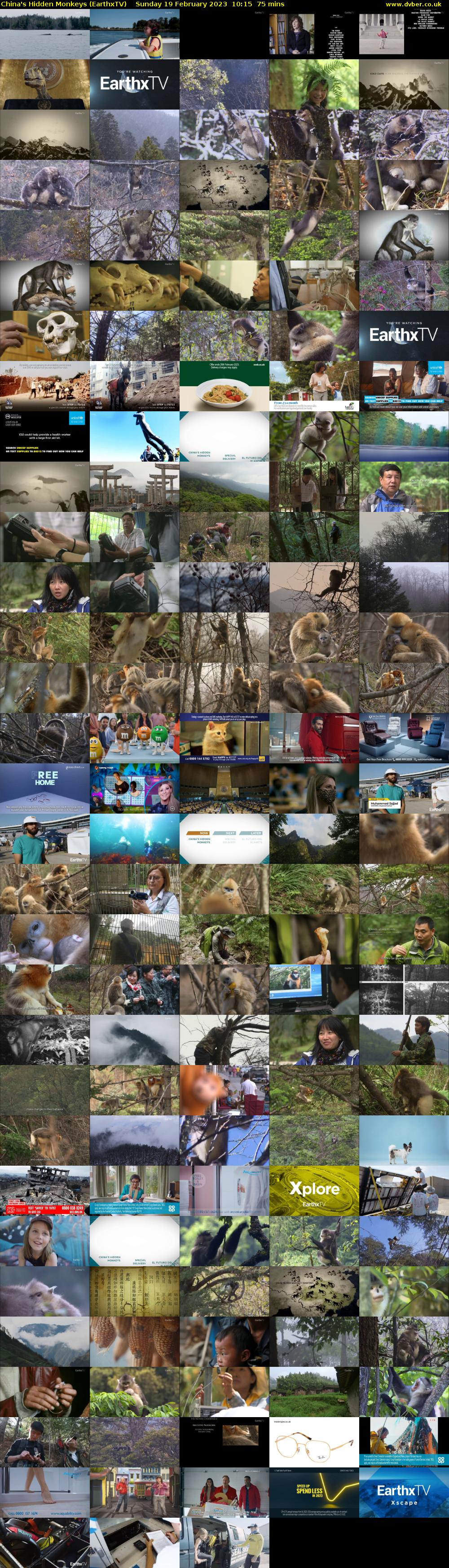 China's Hidden Monkeys (EarthxTV) Sunday 19 February 2023 10:15 - 11:30