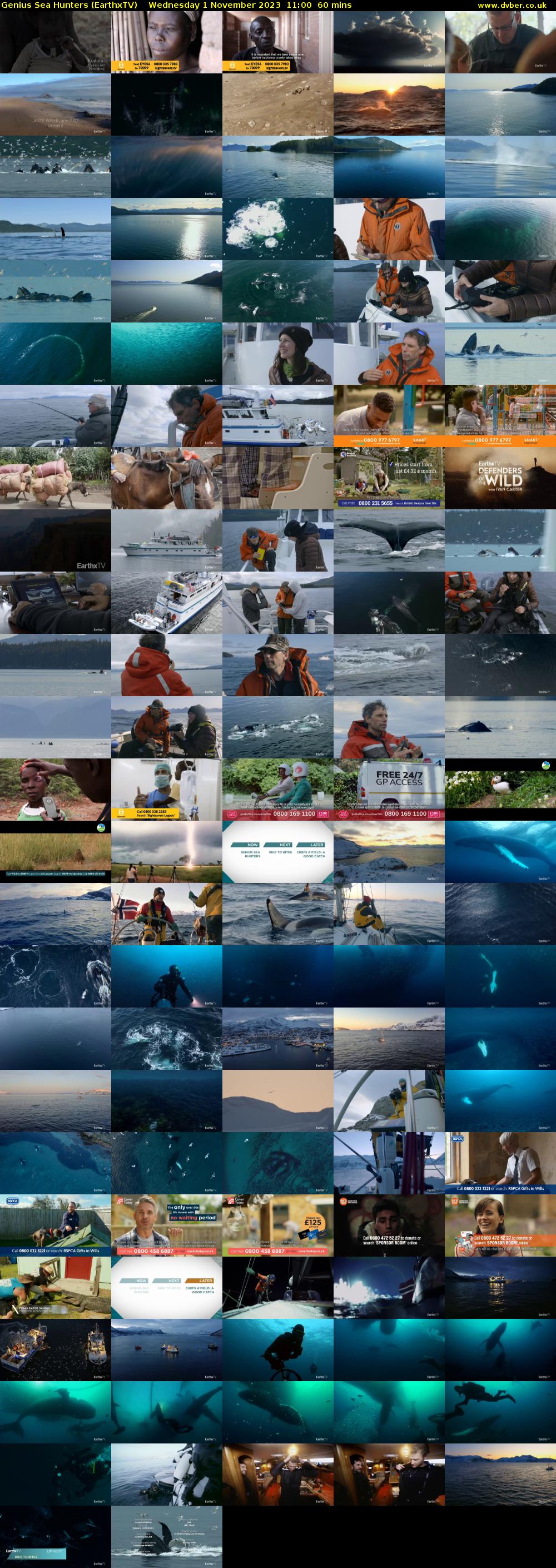 Genius Sea Hunters (EarthxTV) Wednesday 1 November 2023 11:00 - 12:00