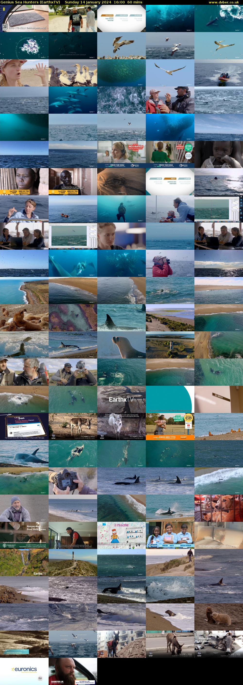 Genius Sea Hunters (EarthxTV) Sunday 14 January 2024 16:00 - 17:00