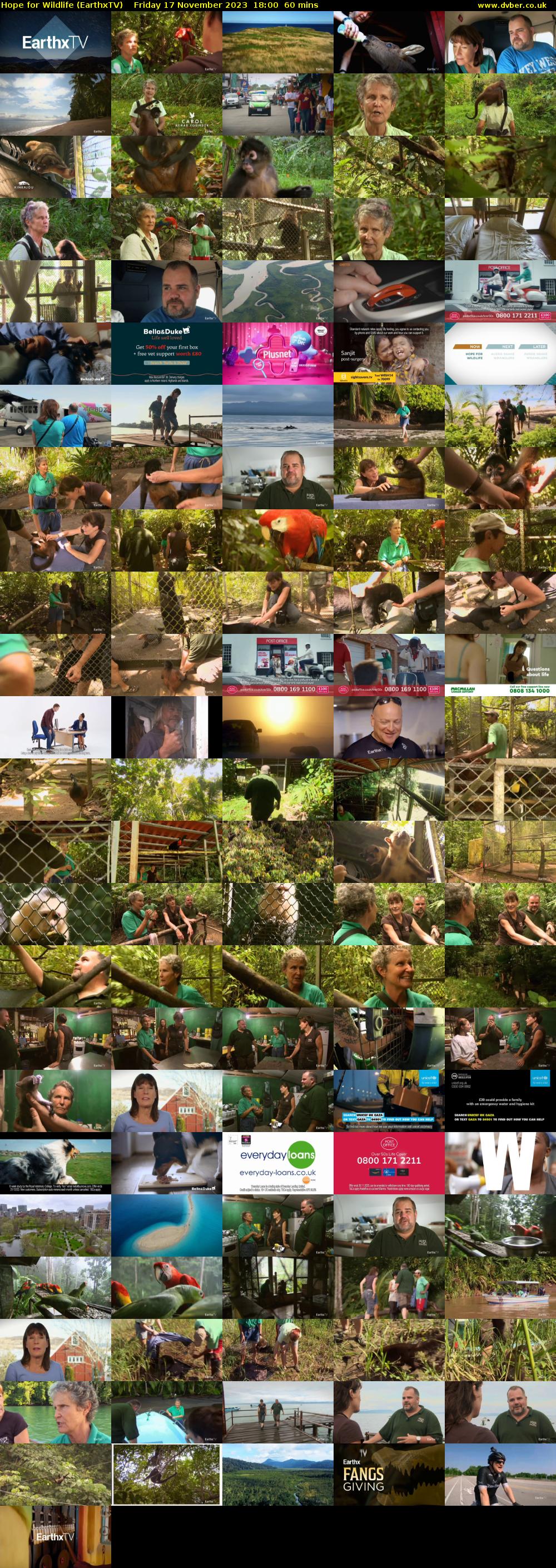 Hope for Wildlife (EarthxTV) Friday 17 November 2023 18:00 - 19:00