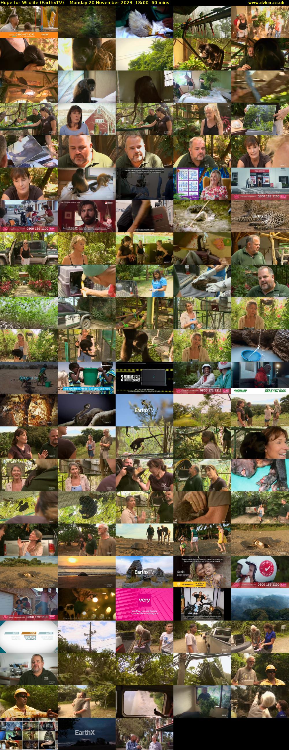 Hope for Wildlife (EarthxTV) Monday 20 November 2023 18:00 - 19:00