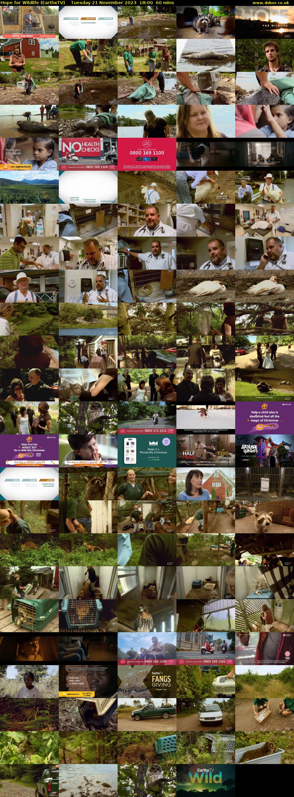 Hope for Wildlife (EarthxTV) Tuesday 21 November 2023 18:00 - 19:00