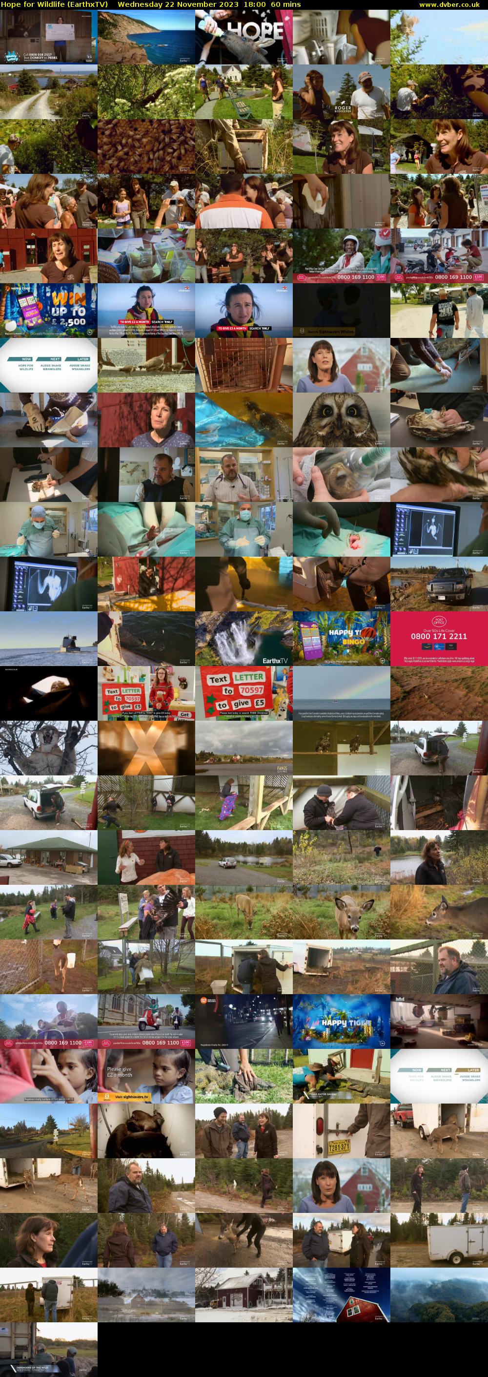 Hope for Wildlife (EarthxTV) Wednesday 22 November 2023 18:00 - 19:00