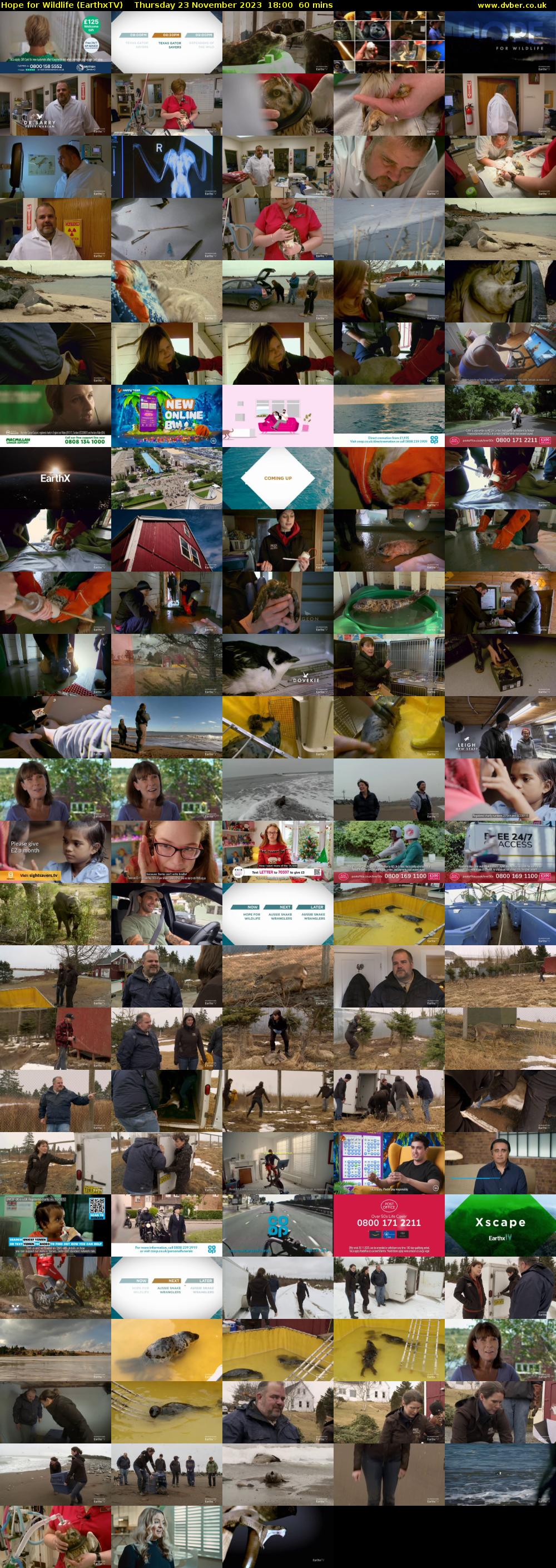 Hope for Wildlife (EarthxTV) Thursday 23 November 2023 18:00 - 19:00
