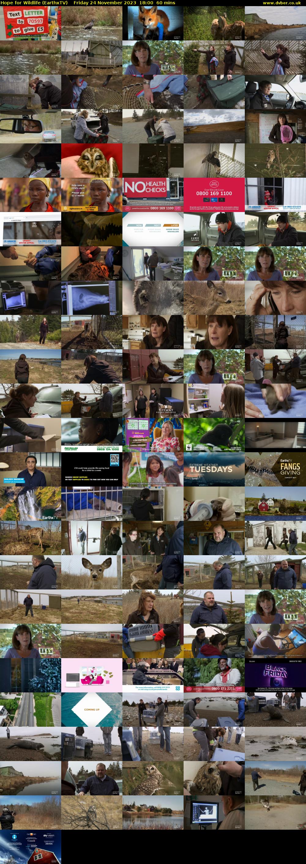 Hope for Wildlife (EarthxTV) Friday 24 November 2023 18:00 - 19:00