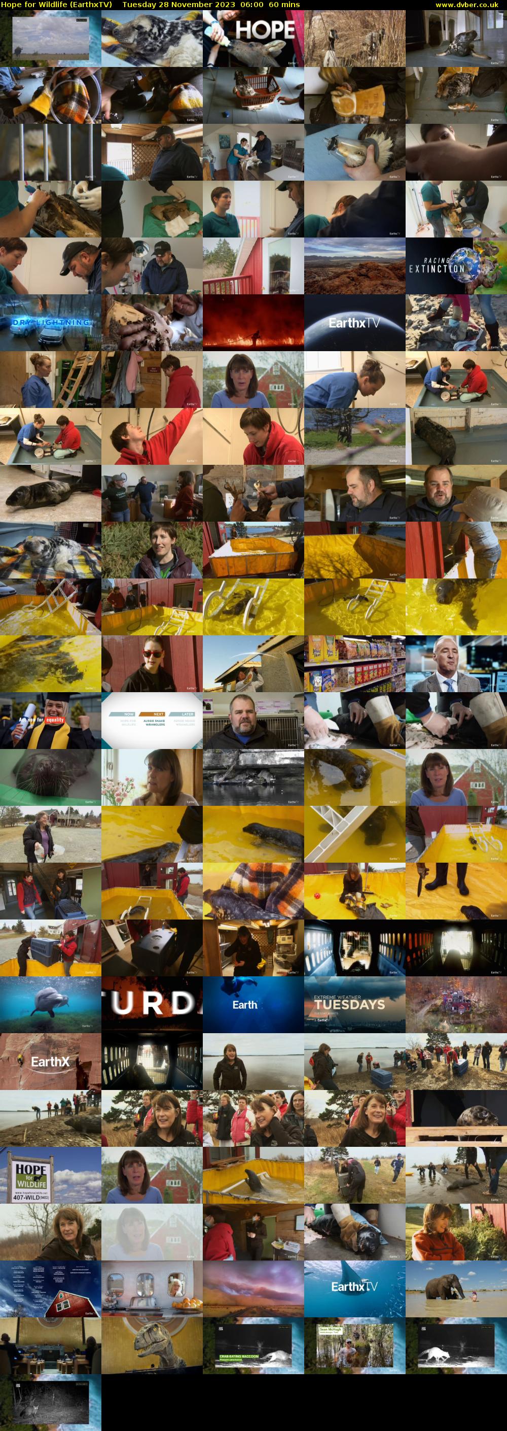 Hope for Wildlife (EarthxTV) Tuesday 28 November 2023 06:00 - 07:00