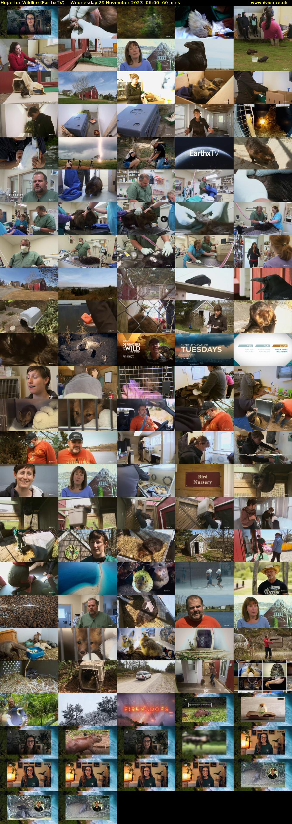 Hope for Wildlife (EarthxTV) Wednesday 29 November 2023 06:00 - 07:00