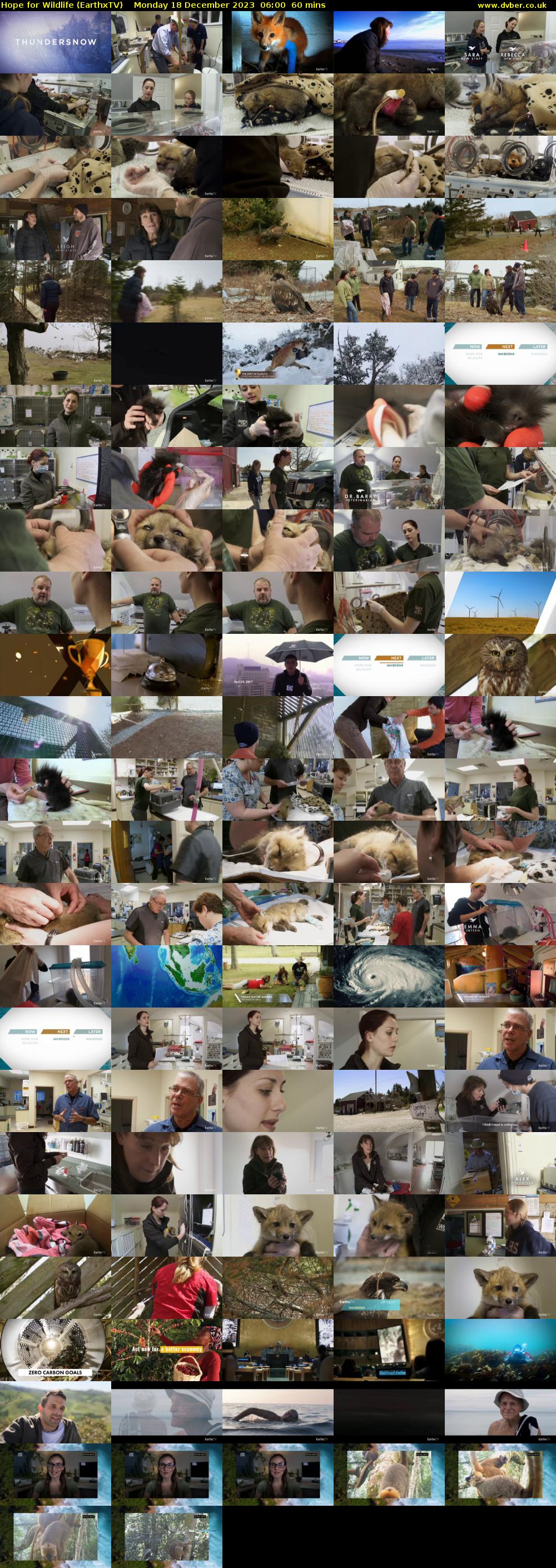 Hope for Wildlife (EarthxTV) Monday 18 December 2023 06:00 - 07:00