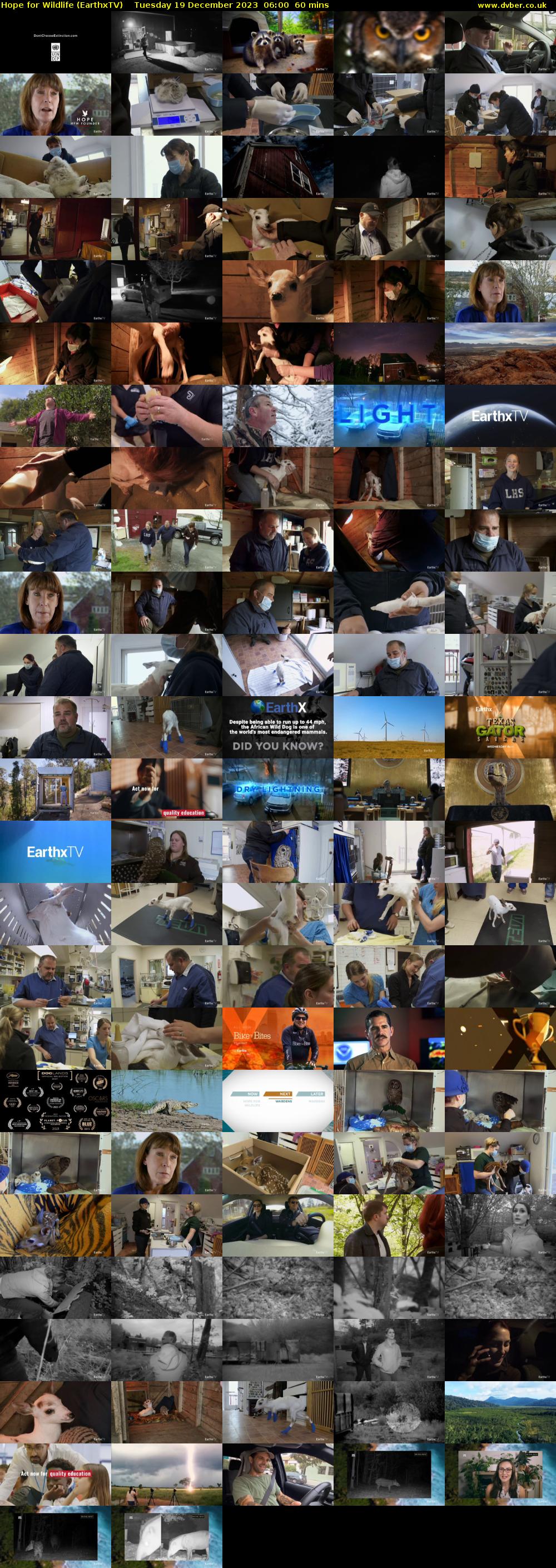 Hope for Wildlife (EarthxTV) Tuesday 19 December 2023 06:00 - 07:00